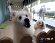 서울대공원, 반려동물센터 문닫고 유스호스텔로
