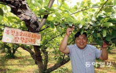 “배나무에 스토리 입혀 키우니… 고객감동이 주렁주렁”