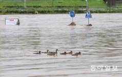 [포토] 불어난 물에 잠겨버린 물놀이장…폭우로 피해 속출