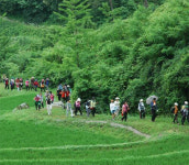 고즈넉한 정약용남도길… 노을 물든 조지훈문학길