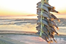 [프리미엄 뷰]현대백화점, 프리미엄 식품의 새로운 장을 연다