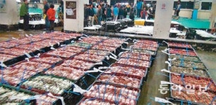 “반갑다 꽃게야”… 대풍 기대감에 어민들 웃음꽃