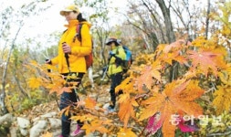 야외 운동의 계절… 만성 질환자, 몸에 맞는 운동법이 중요