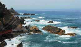 ‘정동진 해안단구 탐방로’ 17일 개통식