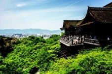 [여행, 나를 찾아서]이 가을, 시인 이승신과 일본으로 떠나는 감성문학기행