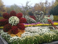 [2016 전국우수시장박람회]대구 서문夜시장, 수성유원지… 가을이 물든다