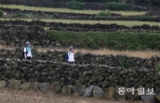 ‘제주밭담축제’ 22일부터 23일까지 열려