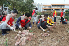 텃밭 가꿔 나눔 이어가는 롯데아울렛 수완점