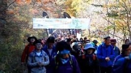 지리산 회남재 숲길 걷기, 가족체험학습 장소로 눈길