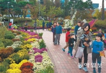 유성국화축제 성황… 6일까지 연장