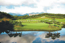 동해 바라보며 소나무숲서 힐링 라운드