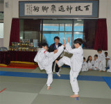 송암배 택견 한마당