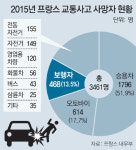 파리 도심 표지판으로 운전자에 경각심… 보행자 사망 한국의 3분의 1