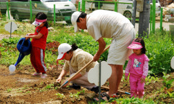 8개 도시텃밭 가꿀 3000명 모집