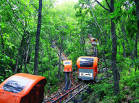 제천 ‘韓方& 대통령 로드 힐링투어’… 문체부 ‘글로컬 관광상품 사업’ 선정