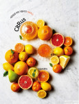 CitRus~ 새콤달콤 싸한 겨울의 맛 시트러스