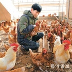 김태현 “보약 먹고 운동하고… 조류인플루엔자 덮쳐도 끄떡없어요”