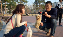 어떤 사나운 개도 ‘개통령’ 앞에선 순한 양이 된다