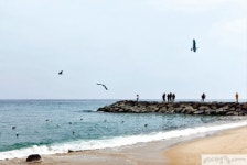 모든 날이 좋았던 강  릉