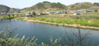 벚꽃 해파랑길… 그대여, 우리 함께 걸어요
