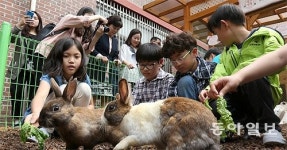 반려동물 입학식