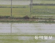 “제2경인고속도로 신천나들목 인천방면 도로 침수…통행불편”