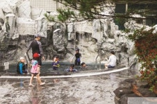 원시 계곡과 바다,  그 길의 감동이 교차하는 땅  울진