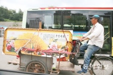 [포토 에세이]부귀영화의 꿈