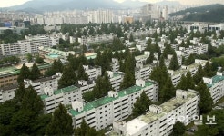 서울 강남 3억 내린 급매물… 부산-대전엔 수천만원 웃돈