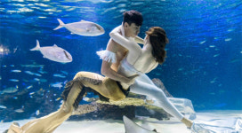 “인어왕자와 공주가 만났어요”