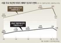 싸늘해진 재건축… ‘강남 불패’ 이번엔 깨지나