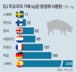 “가축이 건강해야 인간도 건강”… 항생제 안쓰고 닭 풀어 키워