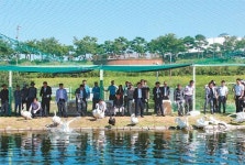 안동 백조공원 재개방