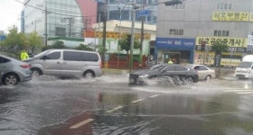 장제원 “부산 사상지역 폭우…학장교차로·새벽시장 도로 침수”