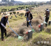 추석 앞두고 묘역 정비