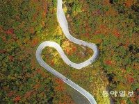 구불구불 산길 돌아 울긋불긋 단풍이 옵니다
