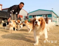 “우리집 개도 물 수 있잖아요” 중-소형견 위탁훈련 줄이어
