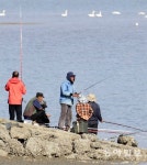 겨울 문턱에 방파제 문조리 낚시
