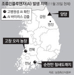 순천만 AI 고병원성 확진… 평창 인접 양양서도 바이러스 검출
