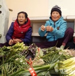 배우며 나누는 80대의 ‘청춘살롱’