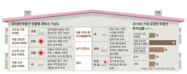 대출 규제-입주폭탄 먹구름 사이로… 강남 재건축 ‘햇살’