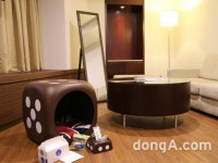 무술년 ‘황금개띠 해’, 반려견 동반 투숙 가능한 호텔은 어디?