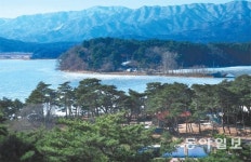 송림 두른 하얀 모래, 푸른 물빛을 품다