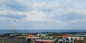 소음 없고 해삼-소라 늘어… “바다 풍력발전이 새 희망”
