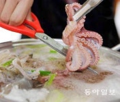 “봄 봄 봄… 꽃피는 4월엔 충남으로 여행 오세요”