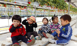 하얀 꽃 빨간 열매 싱그러운 향… 눈코입 다 즐겁다