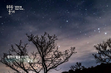 새소리-별빛이 주인공… 재미없어 뜨는 ‘다큐 예능’