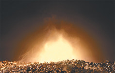 [프리미엄뷰]커피는 ‘향’이다… 숙성으로 더 깊어진 ‘향’