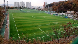 [비즈포커스]잔디가 무슨 죄?… 인조잔디 품질인증제 싸고 힘겨루기