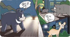 [신문과 놀자!/주니어를 위한 칼럼 따라잡기]지리산 반달곰과 도심 멧돼지